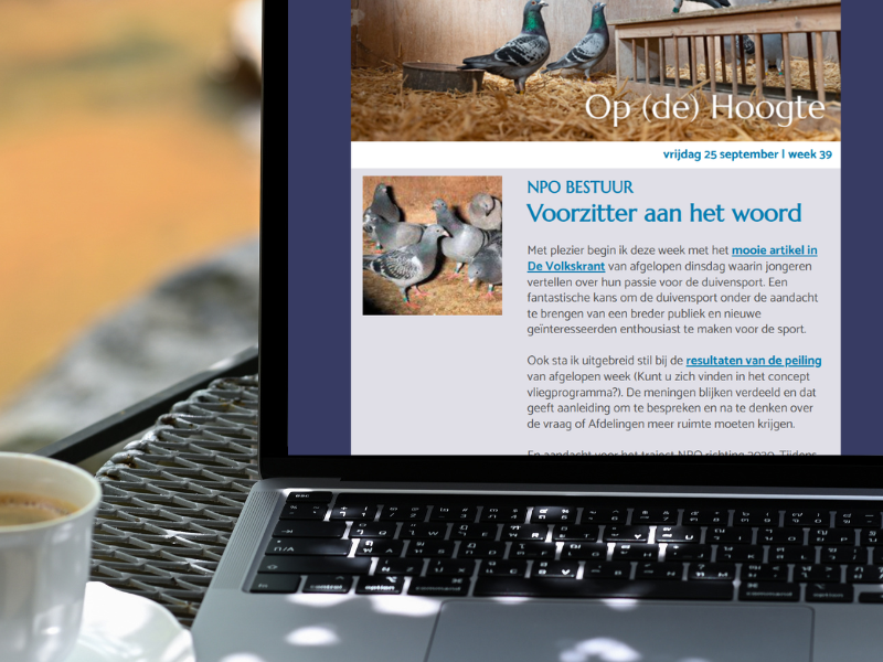 Nieuwsbrieven die werken